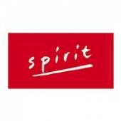 Logo de Spirit Immobilier Rhones Alpes