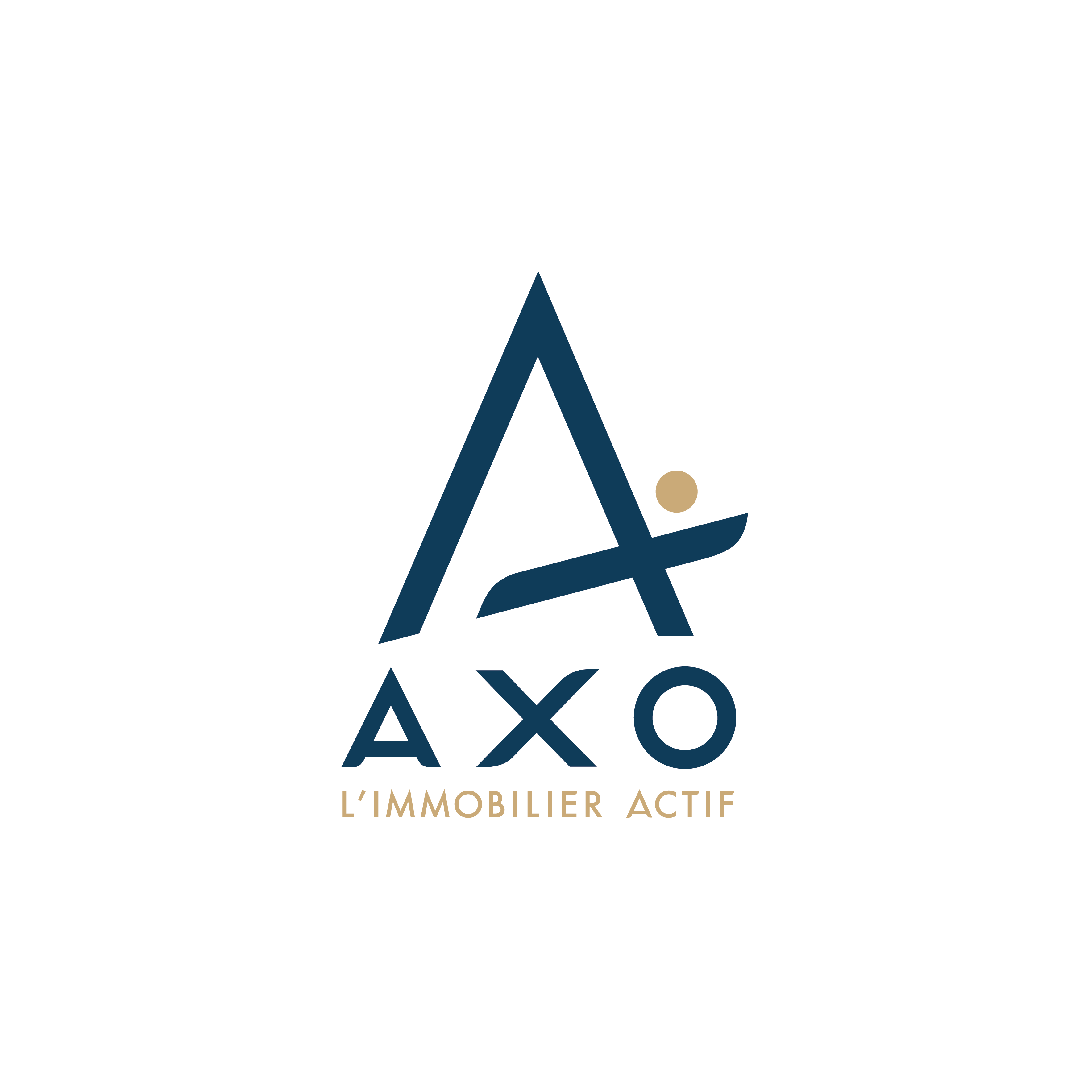 Logo de AXO - L'immobilier Actif - Maggie STROOBANTS