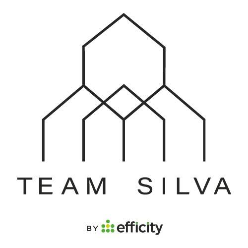 Logo de efficity - Debora Silva